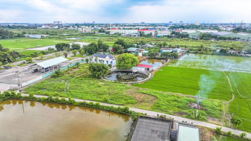 Bán đất long an  giá tốt đầu tư hoặc xây ở 6850421