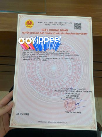 Chính chủ bán đất tại huyện yên lạc, vĩnh phúc 6851302