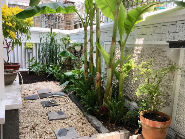 Bán nhà hẻm xe hơi 1220 nguyễn cảnh dị, p4, tân bình 6853007