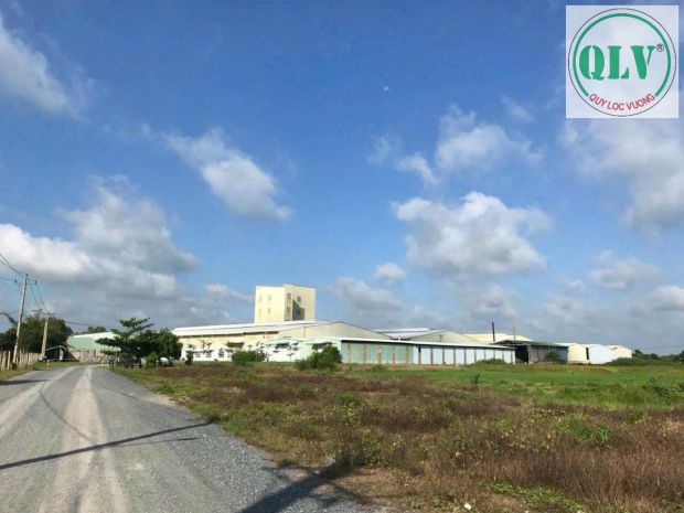 Bán gấp xưởng siêu đẹp -116.500m2 vị trí gò dầu, tn 6853130