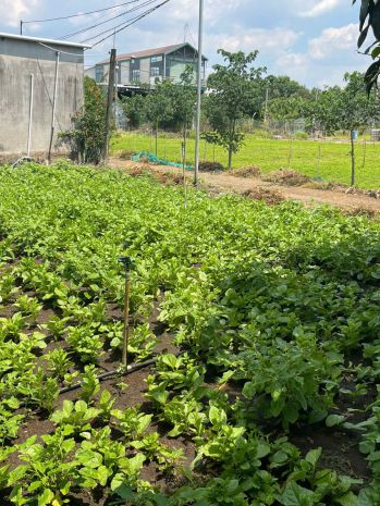 Lô đất 1000m² ngang 10m, sổ hồng riêng, đường 3m, gần 6854067