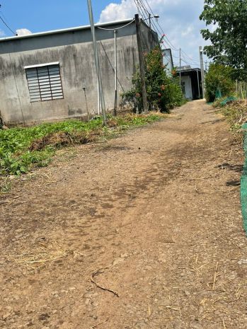 Lô đất 1000m² ngang 10m, sổ hồng riêng, đường 3m, gần 6854068