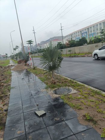 Cần cho thuê nhanh lô đất vị trí đẹp  cụm công nghiệp yên 6855142