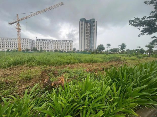 Cơ hội vàng đầu tư  bán lô đất hơn 4.000m2, vị trí trung 6860368
