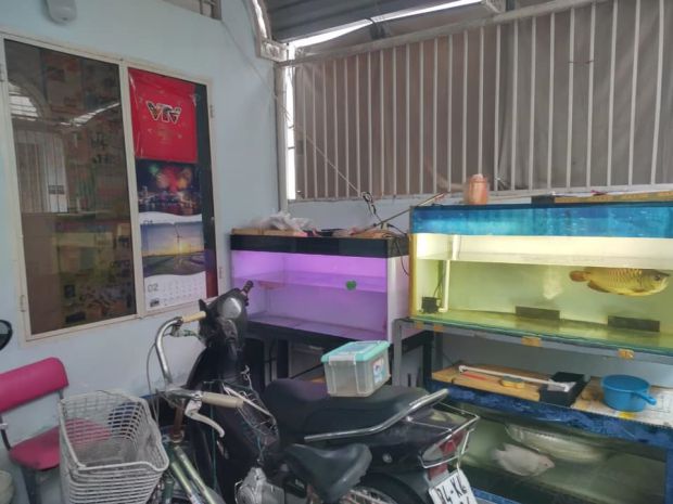 Bán nhà hbg phạm văn bạch, p15, tân bình, 73m2, 2 tầng, 4.x 6860618