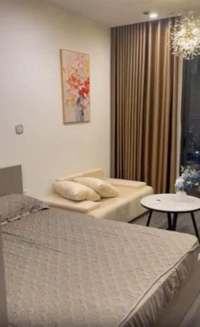 *chính chủ cần cho thuê căn hộ studio phân khu cao cấp the 6860732