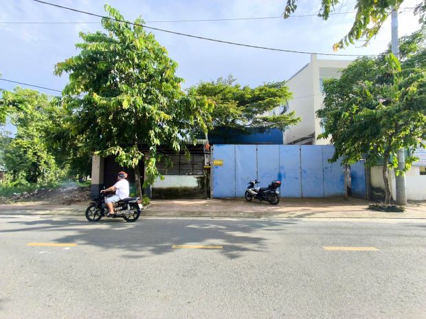 Bán xưởng mặt tiền 15 x 60m tân hiệp hóc môn shr full thổ 6862324