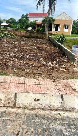Đất mặt đường thôn tân phong -- kiến hải  giá chỉ 1,6x tỷ 6862592