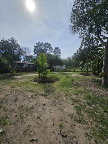 Bán đất thổ cư 2700m2, mt bùi thị điệt, phạm văn cội, củ 6862682