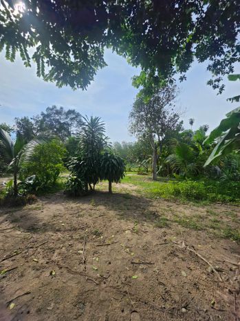 Bán đất thổ cư 2700m2, mt bùi thị điệt, phạm văn cội, củ 6862684