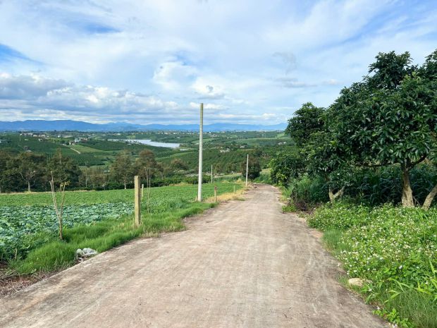 Deal  siêu tốt view hồ phúc thọ-lâm hà dt 1000m2 sẵn 100m2 6865355
