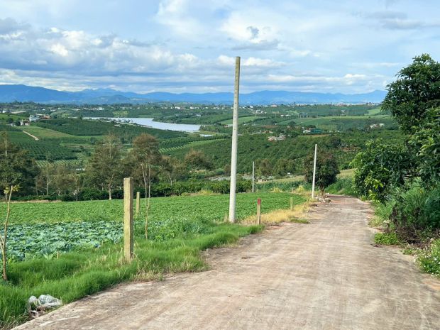 Deal  siêu tốt view hồ phúc thọ-lâm hà dt 1000m2 sẵn 100m2 6865356