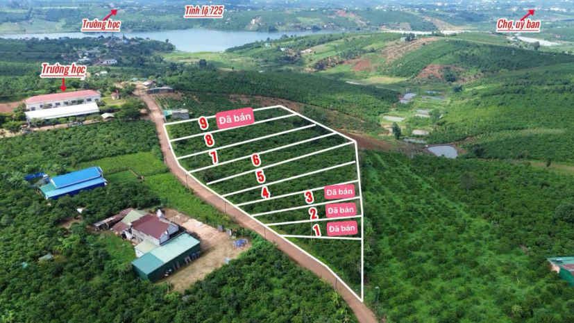 Chỉ còn duy nhất 3 lô 1000m2 sẵn 100m2 thổ cư view hồ mặt 6865440