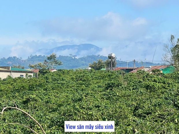Chỉ còn duy nhất 3 lô 1000m2 sẵn 100m2 thổ cư view hồ mặt 6865444