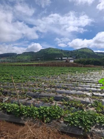 Giá 1 tỷ 080 triệu - lô đất đẹp an ninh, xã liên hiệp, đức 6866604