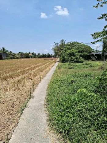 Chính chủ cần bán lô đất tấn, tân trụ, long an 6867795