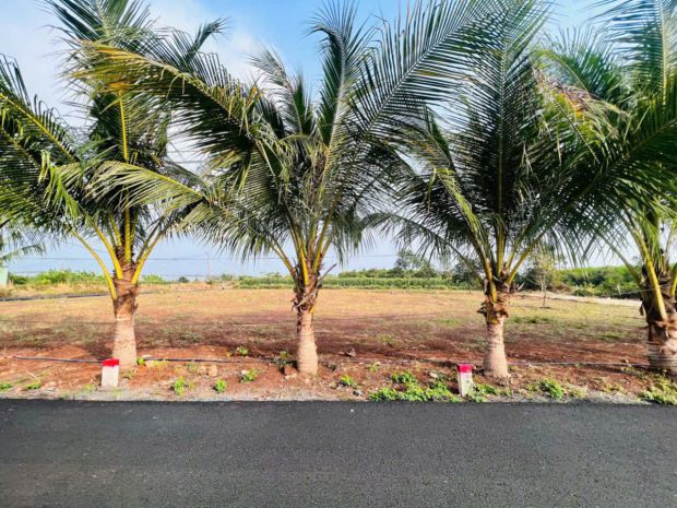 Long tân đất đỏ . đường nhựa . 5x30 có 80 thổ cư . giá chỉ 6868448