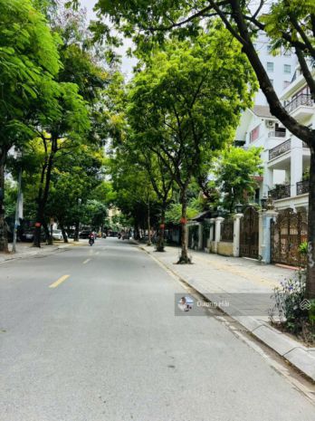 Bán nhà lk phố thành thái - kđt dịch vọng - 105m 5 tầng - ô 6868826