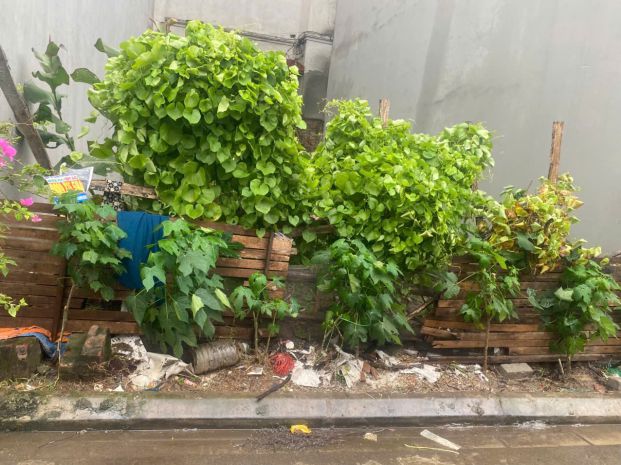 Cần bán mảnh đất đẹp tại hải bối, đông anh, hà nội 6869449