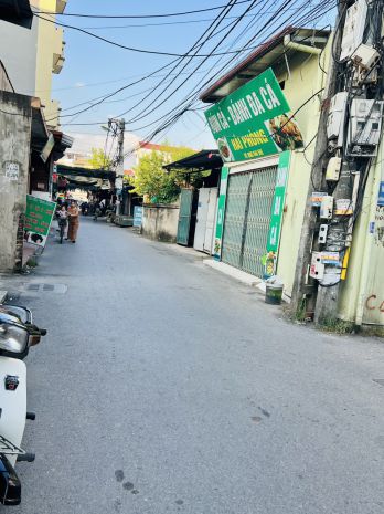 Bán đất trâu quỳ - gia lâm, 42.6 m2, gia 6.4 tỷ, 6869907