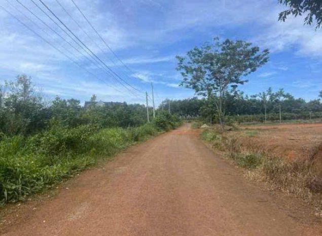 Cần bán đất chính chủ - ấp 4, xã thanh hòa, huyện bù đốp, 6870300