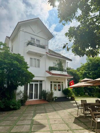 Gấp-- chính chủ cần cho thuê và chuyển nhượng bất động sản 6872538