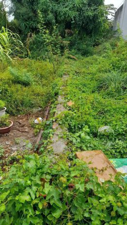 Đất đẹp - giá tốt - bán đất, hẻm 78, đường đô lương, thành 6873065