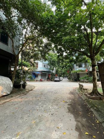 Bán nhà dịch vụ bờ hội  ngô đình mẫn, 50m² đất, mặt tiền 6873562