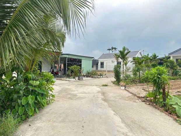 Lô đất đẹp 53.3m² giá chỉ 5xx triệu  hiếm có tại tân 6874499