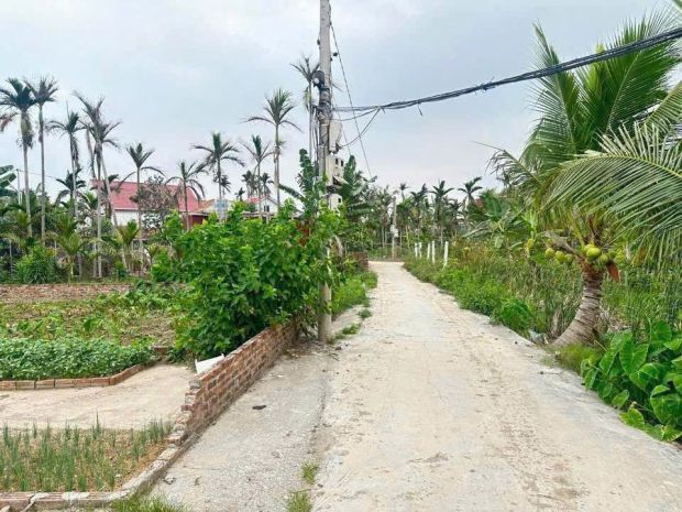 Lô đất đẹp 53.3m² giá chỉ 5xx triệu  hiếm có tại tân 6874500