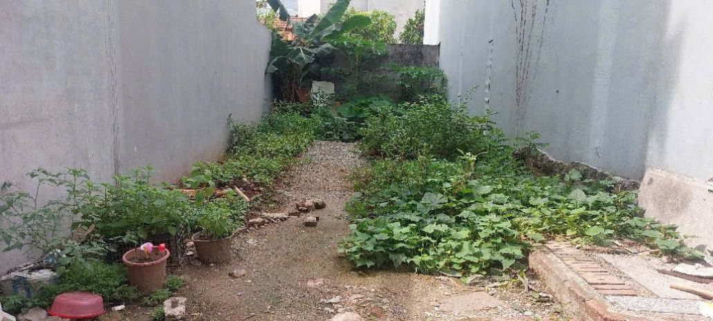 Đất đẹp phương nhị- liên ninh nhinh 5ty 6877556