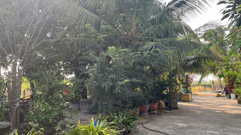 Bán 25m đất odt mặt tiền lê minh công - lagi giáp 577 chỉ 6878102