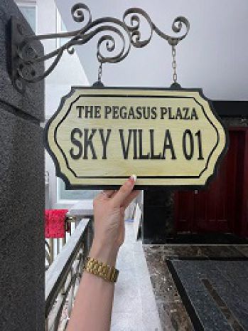 Bán căn hộ penthouse skyvilla a01  pegasus plaza, biên hòa 6878174