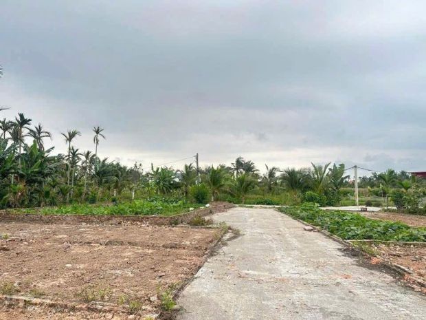 Đất ô tô vào tận nơi  trung tâm tân phong, kiến thụy  giá 6878336
