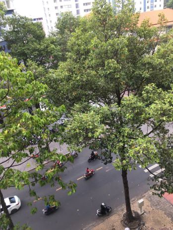 Chỉ 3,2 tỷ sở hữu ngay nhà mặt tiền trung tâm quận 11 6879459