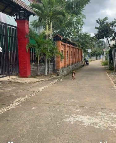 Bán 150,2m2 đất gần đường thống nhất - phú hội -đức trọng 6882630