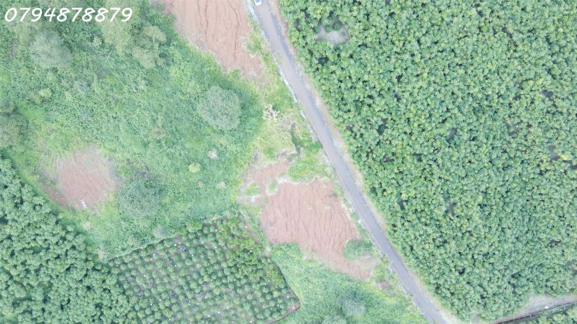 Cần bán đất lộc ngãi  bảo lộc, lâm đồng 

 vị trí 6885933