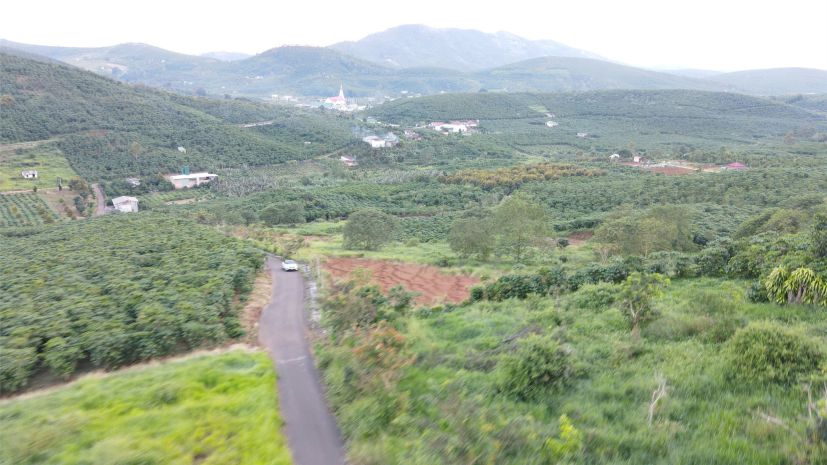 Cần bán đất lộc ngãi  bảo lộc, lâm đồng 

 vị trí 6885934