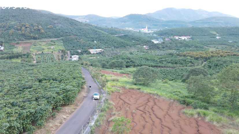 Cần bán đất lộc ngãi  bảo lộc, lâm đồng 

 vị trí 6885935