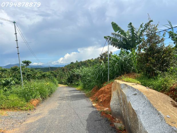 Cần bán đất lộc đức  bảo lộc, lâm đồng 

 vị trí 6885954