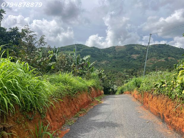 Cần bán đất lộc đức  bảo lộc, lâm đồng 

 vị trí 6885957