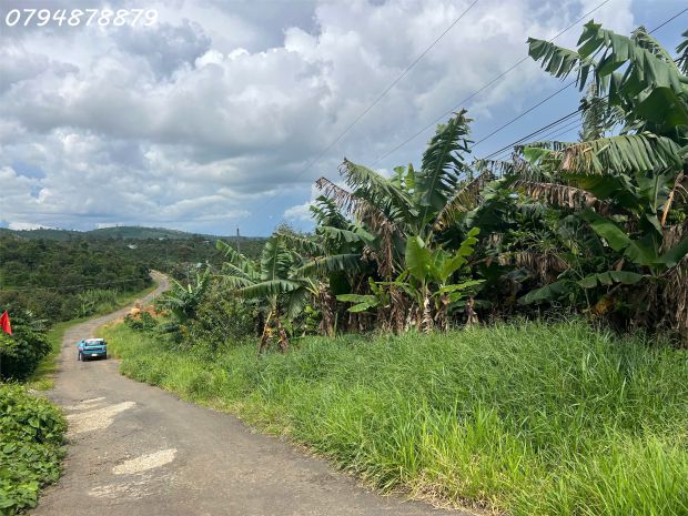 Cần bán đất lộc đức  bảo lộc, lâm đồng 

 vị trí 6885958