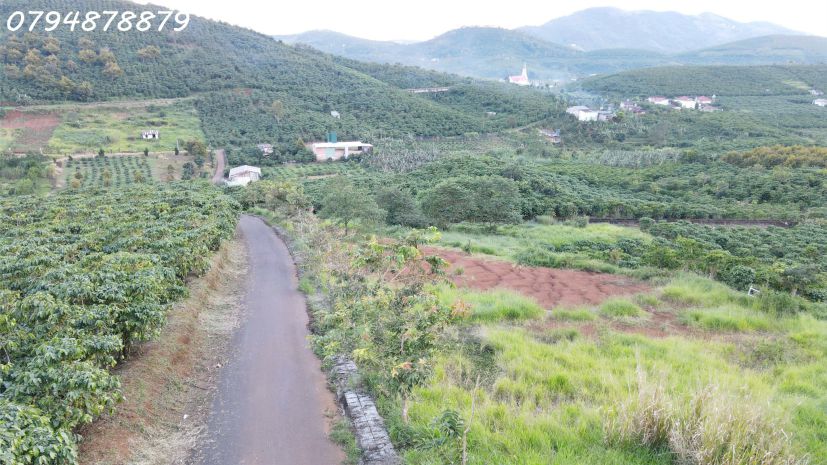 Cần bán đất lộc ngãi  bảo lộc, lâm đồng mkt49 6886059