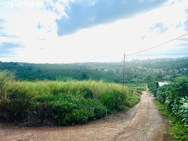 Bán đất tân châu  vị trí đẹp, gần ql20, tiện ích đầy đủ 6886306