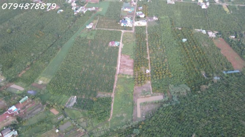 Bán đất tân châu  vị trí đẹp, gần ql20, tiện ích đầy đủ 6886307