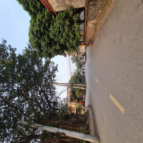 Nhà 4 tầng full nội thất 130m2 sàn tại đông dư, chỉ nhỉnh 5 6887380