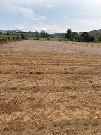 Cần bán đất nông nghiệp tại đức trọng  lâm đồng 6893933