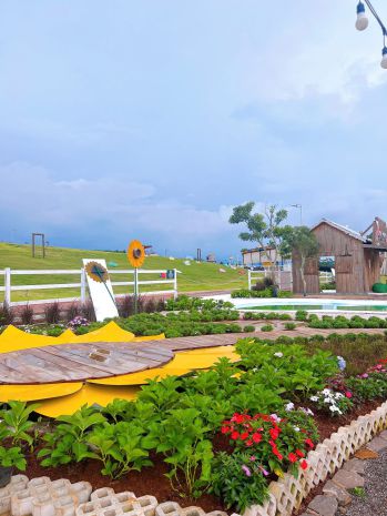 Sun valley bảo lộc, cdt rao bán giai đoạn mới q42025 6894507