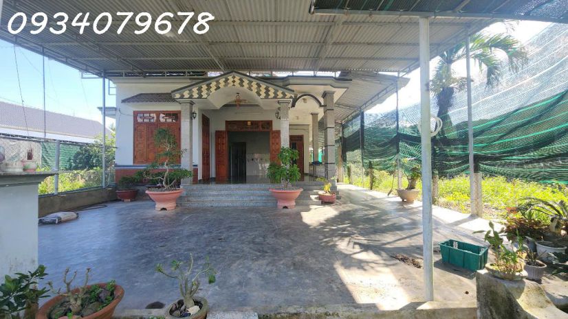 Nhà cầu dứa phú nông 6894968