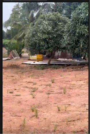 Đất chính chủ - thổ cư 100 - 2 lô liền kề ấp bàu sến, đức 6895383